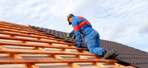 Best Steel Roofing  in Ozark, MO